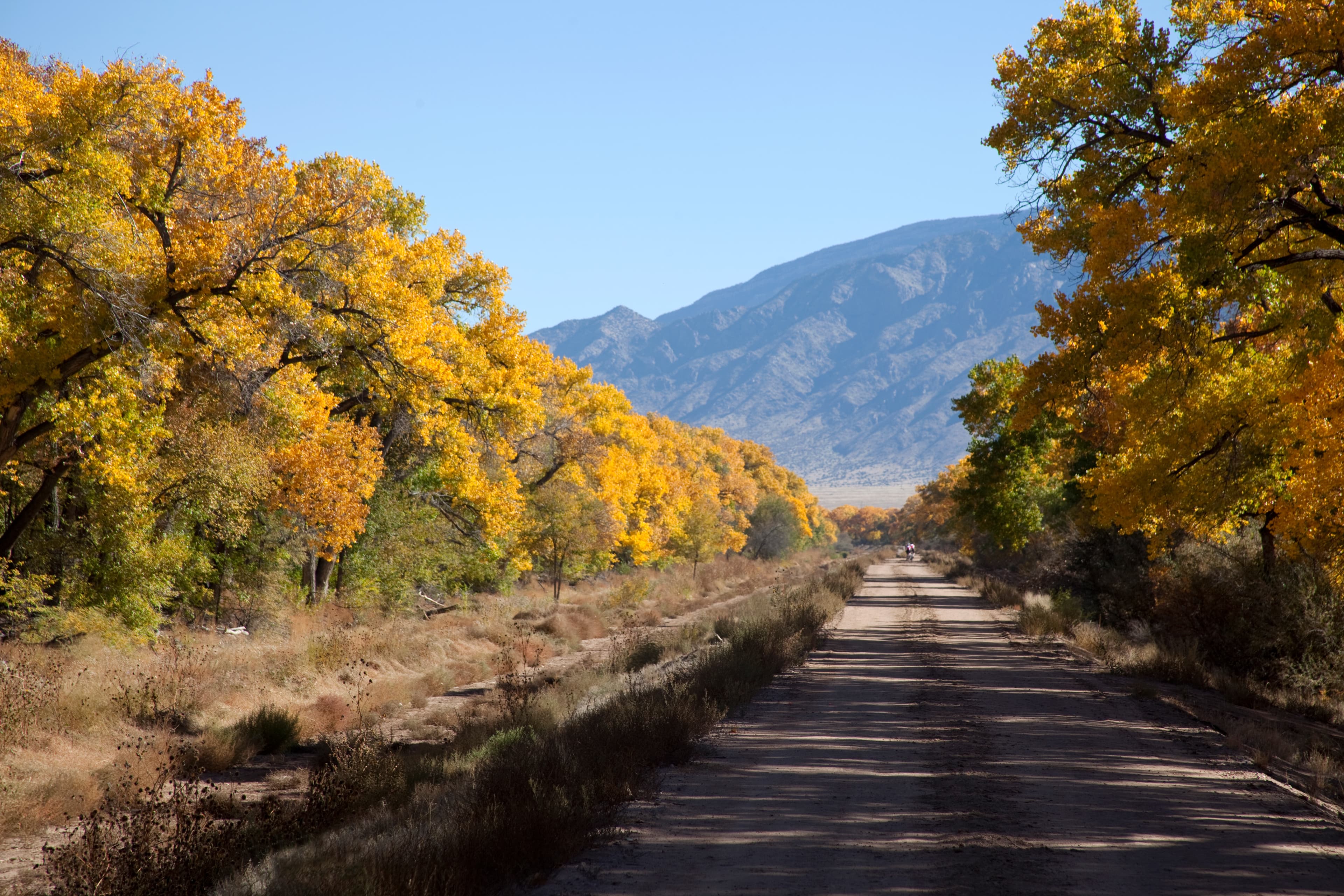 Corrales, NM skyline