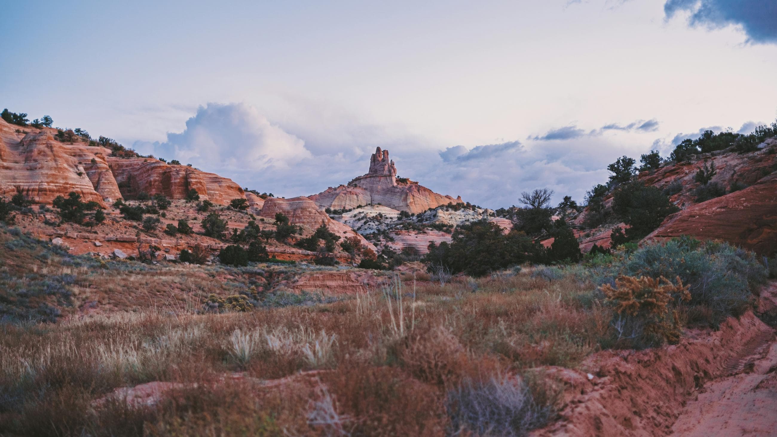 Gallup, NM skyline