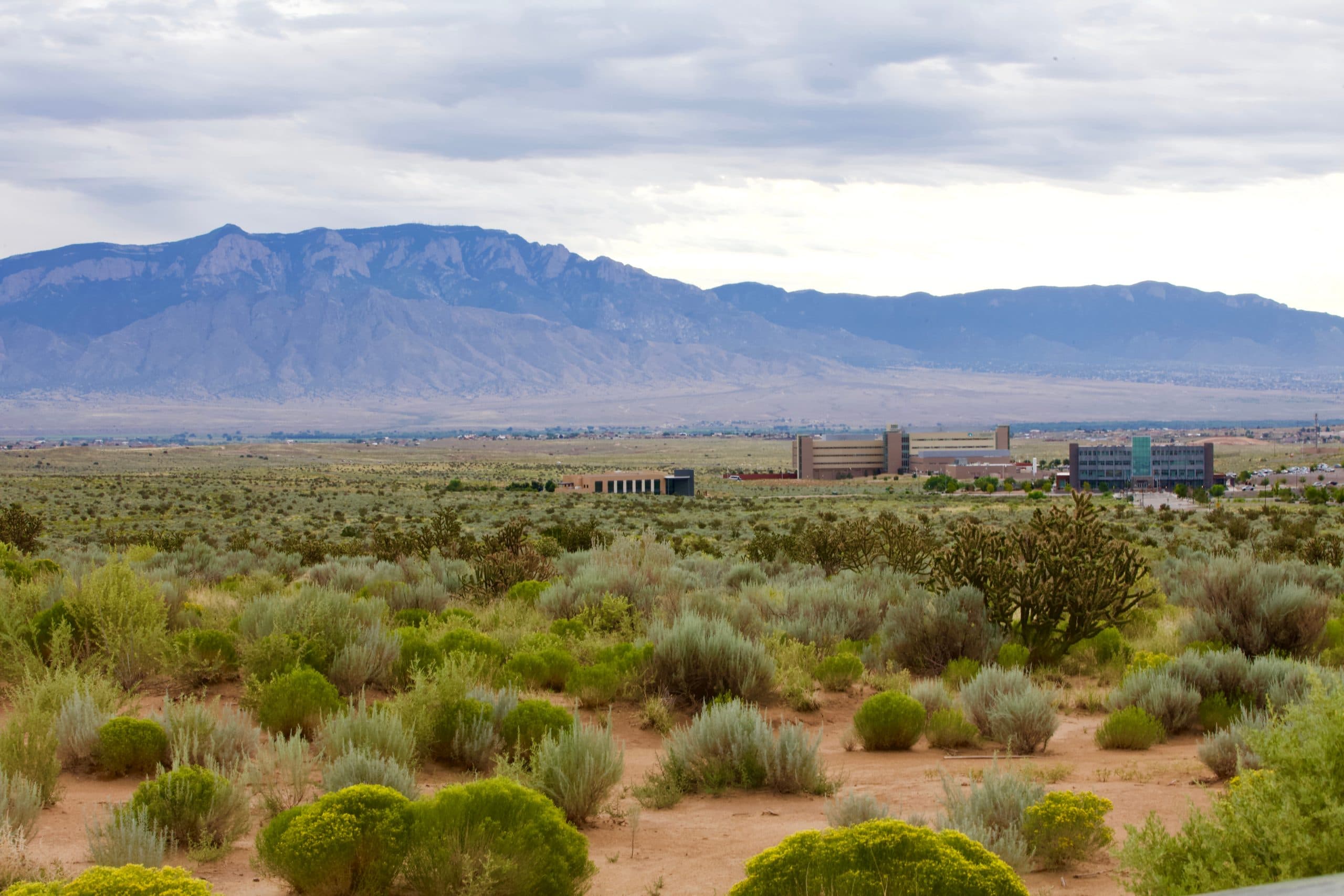 Rio Rancho, NM skyline